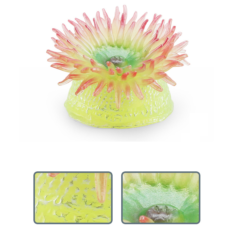 Realistic Coral Sea Anemones S - مراجعة Kids Toys China وسعره