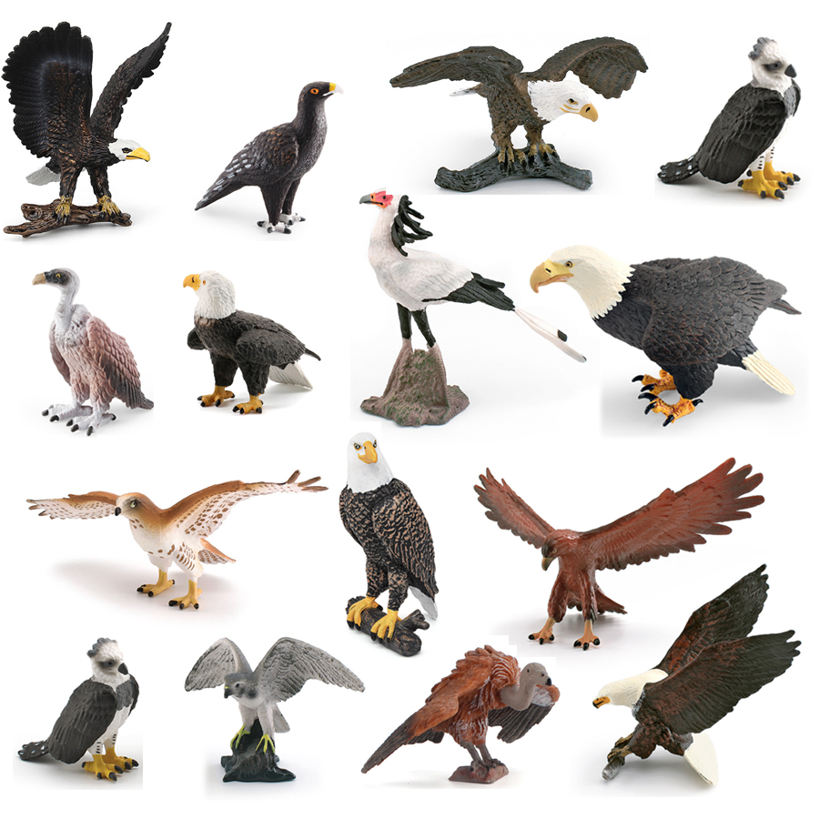 Realistic Wildlife Animal Bird - مراجعة Kids Toys China وسعره